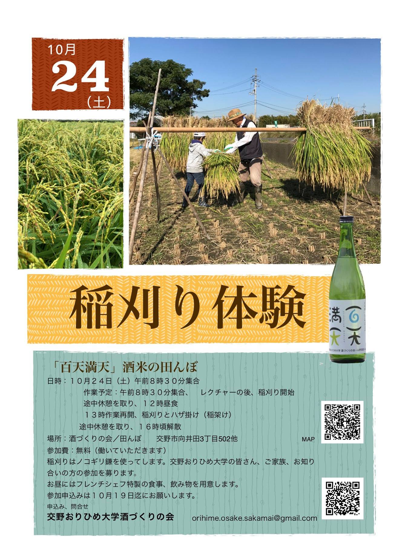 稲刈り体験